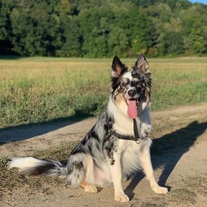 Meet your Posher, Corinne